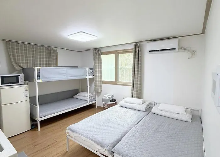 Y's House
